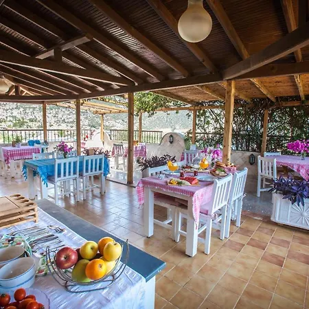 Aparthotel Papermoon & 4*