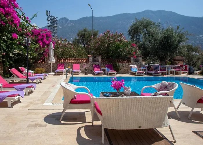 Aparthotel Papermoon & 4*