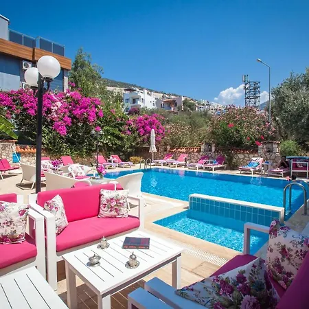 Papermoon Hotel&apartments 3*