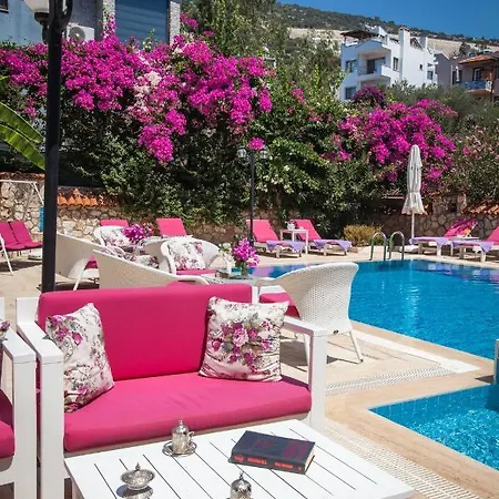 公寓式酒店 Papermoon & 卡斯