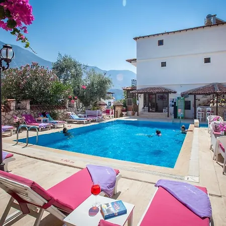 Papermoon & Apart Otel 4*