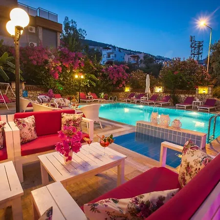 Papermoon & 4* Kaş