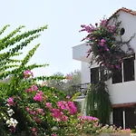 Papermoon & 4* Kaş